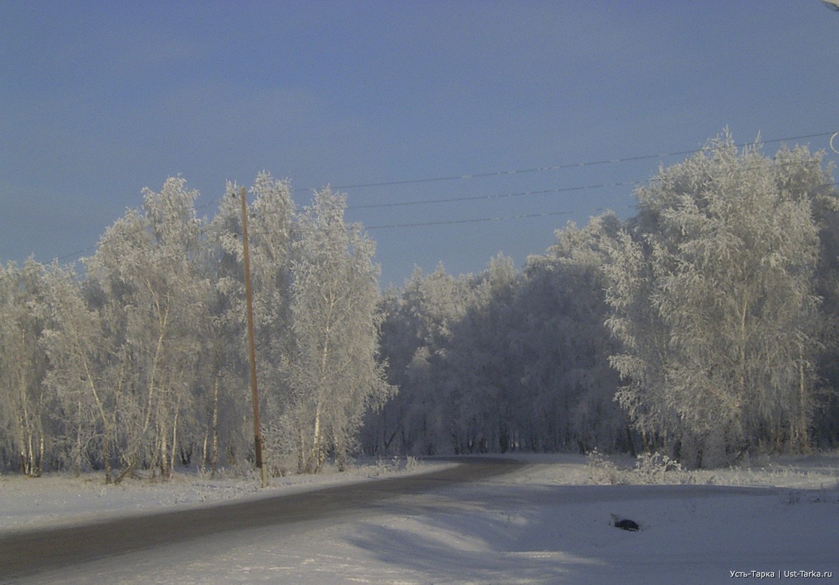 Погода в туруновке. Усть-Тарка Новосибирская область. Новосибирская область зима. Усть-Тарка природа. Новосибирская область зимой.
