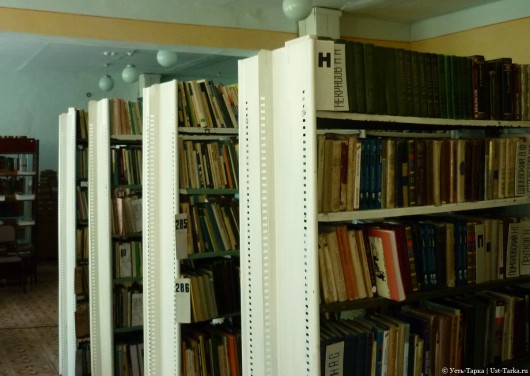 27 мая – общероссийский день библиотек