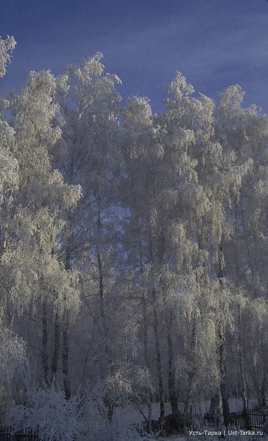 Зима в Усть-Тарке