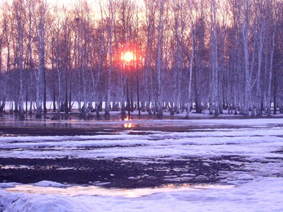 Учитель вне урока. Продолжение.