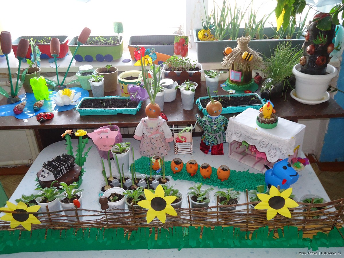Огород на окне в детском саду оформление своими руками