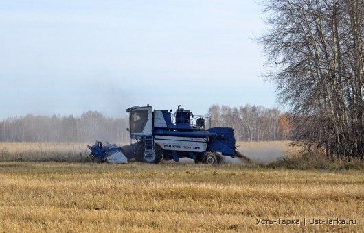 Уборка последних гектаров пшеницы